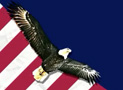 Lincoln Birthday Network ID Fox News Channel Rebirth Music music composition